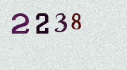 Visual Confirmation Security Code