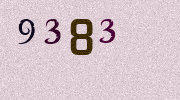 Visual Confirmation Security Code