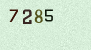 Visual Confirmation Security Code