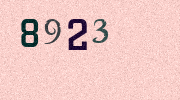 Visual Confirmation Security Code
