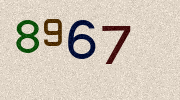 Visual Confirmation Security Code