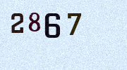 Visual Confirmation Security Code