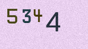 Visual Confirmation Security Code