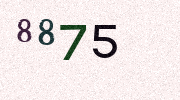 Visual Confirmation Security Code