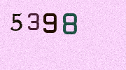 Visual Confirmation Security Code