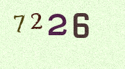 Visual Confirmation Security Code
