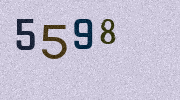 Visual Confirmation Security Code