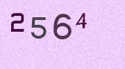 Visual Confirmation Security Code