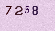 Visual Confirmation Security Code