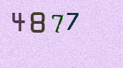 Visual Confirmation Security Code