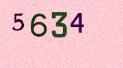 Visual Confirmation Security Code