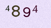 Visual Confirmation Security Code