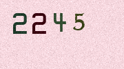 Visual Confirmation Security Code