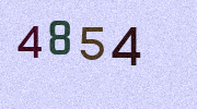 Visual Confirmation Security Code