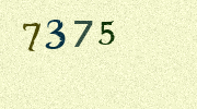 Visual Confirmation Security Code