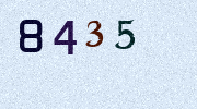 Visual Confirmation Security Code
