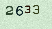 Visual Confirmation Security Code
