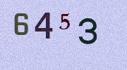 Visual Confirmation Security Code