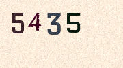 Visual Confirmation Security Code