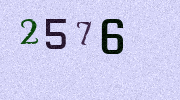 Visual Confirmation Security Code