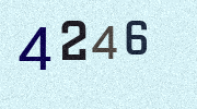 Visual Confirmation Security Code