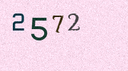Visual Confirmation Security Code