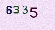 Visual Confirmation Security Code