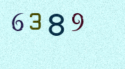 Visual Confirmation Security Code
