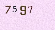 Visual Confirmation Security Code