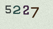 Visual Confirmation Security Code