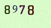 Visual Confirmation Security Code