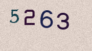 Visual Confirmation Security Code