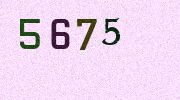 Visual Confirmation Security Code