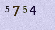 Visual Confirmation Security Code