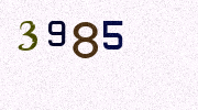 Visual Confirmation Security Code