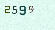 Visual Confirmation Security Code