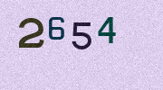 Visual Confirmation Security Code