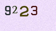 Visual Confirmation Security Code