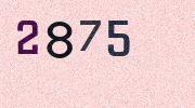 Visual Confirmation Security Code