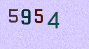 Visual Confirmation Security Code