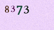 Visual Confirmation Security Code
