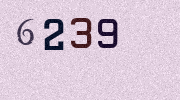 Visual Confirmation Security Code