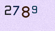 Visual Confirmation Security Code