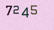 Visual Confirmation Security Code