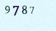 Visual Confirmation Security Code