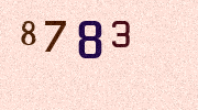 Visual Confirmation Security Code