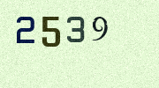 Visual Confirmation Security Code