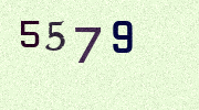 Visual Confirmation Security Code