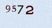 Visual Confirmation Security Code
