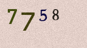 Visual Confirmation Security Code